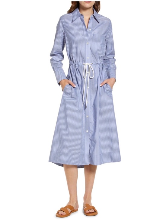 Rails Dresses & Skirts - Rails Women’s Sz S Blue White Stripe Shivonne Midi Dress Button Front